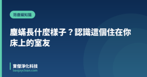 塵蟎長什麼樣子？認識這個住在你床上的室友｜寶傑淨化科技